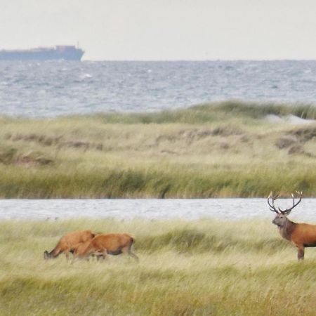 Fewo-Kramm Ostseebad Дирхаген Экстерьер фото